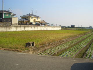 nʐ^